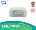 Prophy Brush